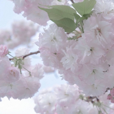 兽设科幻风格创作兽圈社群